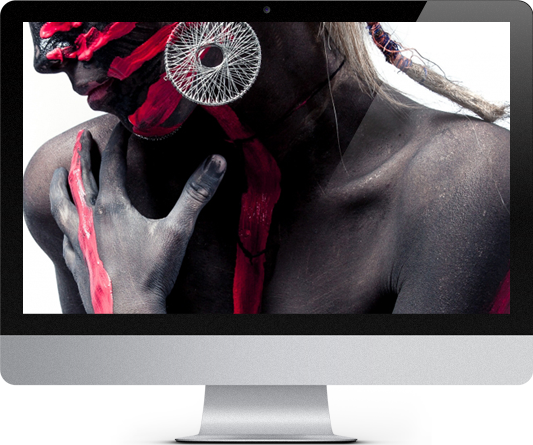 Demint Winter Campaign