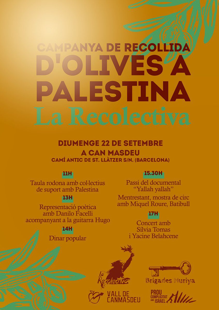 Campanya Recollida d’olives